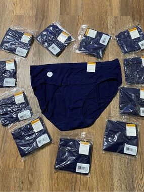 12 piece Alfani Women's Plus Size 3X Soft Rayon Bikini Panty Underwear,color blu